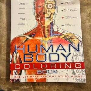 The Human Body coloring book
